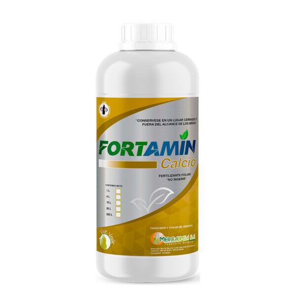 FORTAMIN CALCIO