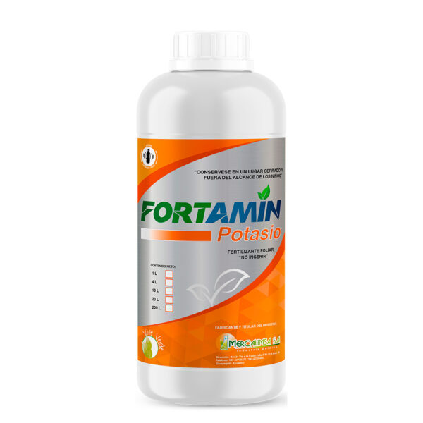 FORTAMIN POTASIO